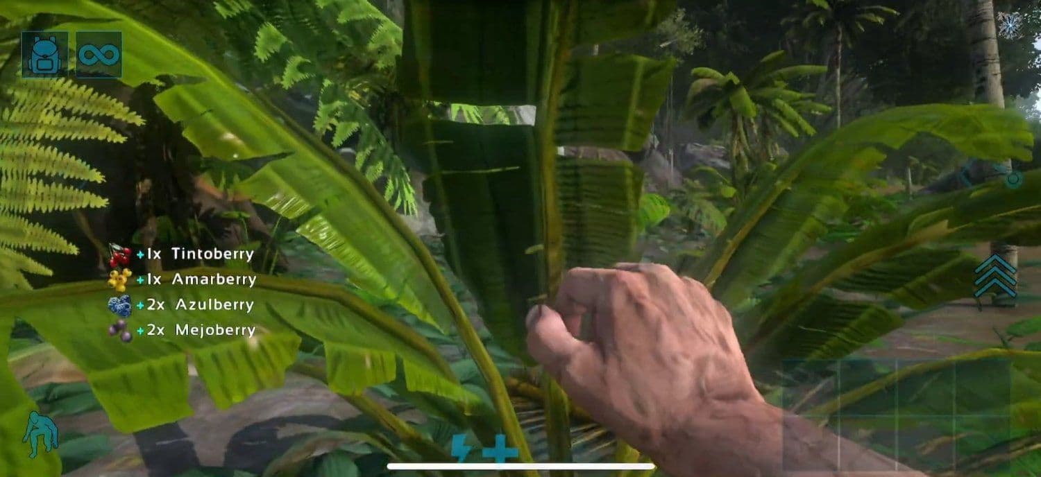 Gameplay aus ARK: Ultimate Mobile Edition aus der Ego-Perspektive: Der Spieler sammelt Beeren im Dschungel; Ressourcenmeldungen und Touch-Steuerung sind sichtbar.
